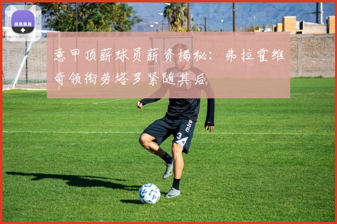 意甲顶薪球员薪资揭秘：弗拉霍维奇领衔劳塔罗紧随其后