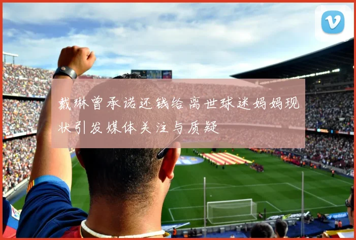 戴琳曾承诺还钱给离世球迷妈妈现状引发媒体关注与质疑